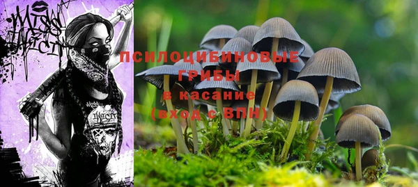 герыч Аркадак