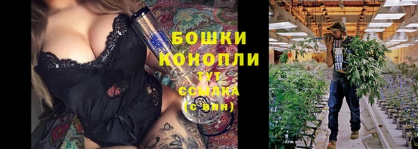 эйфоретик Арсеньев